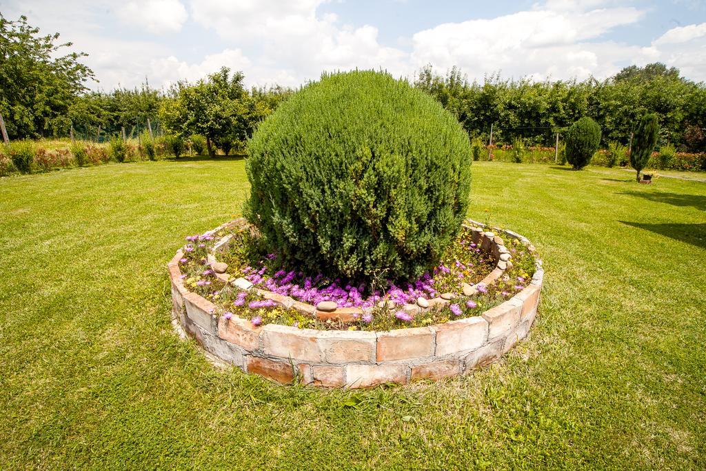 I Due Orfici Bed & Breakfast Cona  Exterior foto
