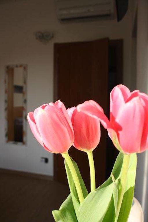 I Due Orfici Bed & Breakfast Cona  Exterior foto