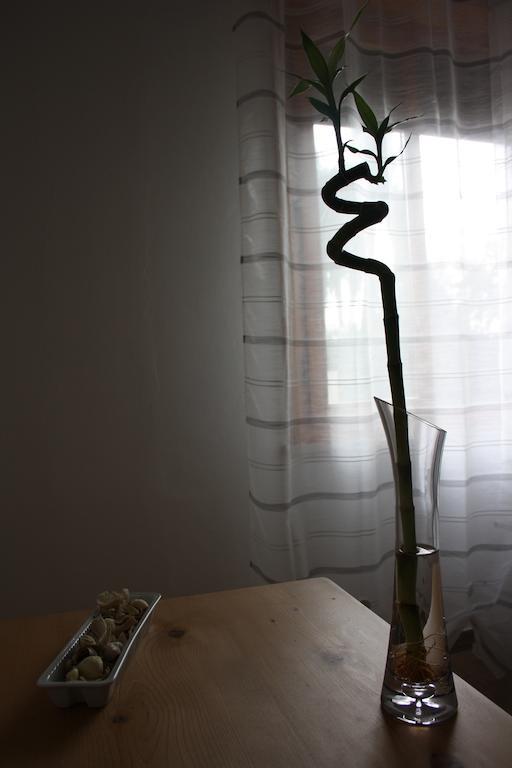 I Due Orfici Bed & Breakfast Cona  Exterior foto